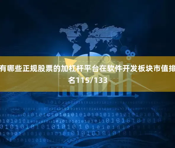 有哪些正规股票的加杠杆平台在软件开发板块市值排名115/133